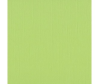 Xαρτόνι Scrapbooking 30cmx20cm 216gr Celery Xαρτόνι Scrapbooking 30cmx20cm 216gr Celery