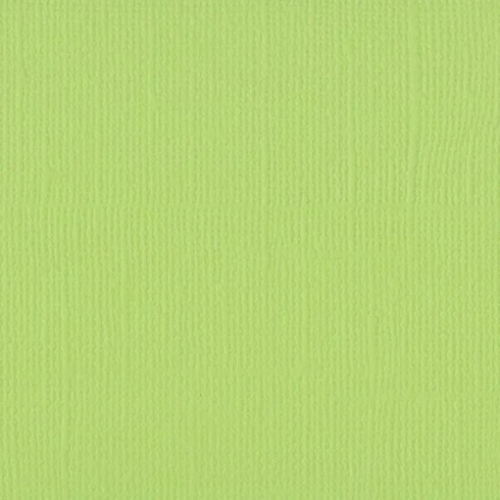Xαρτόνι Scrapbooking 30cmx20cm 216gr Celery