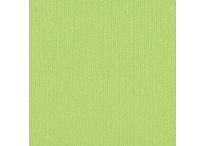 Xαρτόνι Scrapbooking 30cmx20cm 216gr Celery Xαρτόνι Scrapbooking 30cmx20cm 216gr Celery