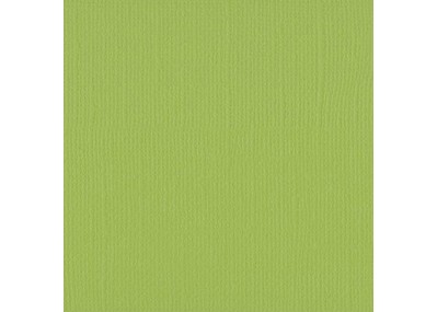 Xαρτόνι scrapbooking 30cmx30cm 216gr pistachio Xαρτόνι scrapbooking 30cmx30cm 216gr pistachio