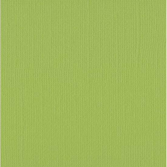 Xαρτόνι scrapbooking 30cmx30cm 216gr pistachio Xαρτόνι scrapbooking 30cmx30cm 216gr pistachio