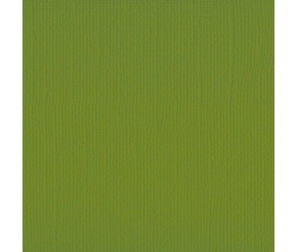 Xαρτόνι scrapbooking 30cmx30cm 216gr  fern Xαρτόνι scrapbooking 30cmx30cm 216gr  fern