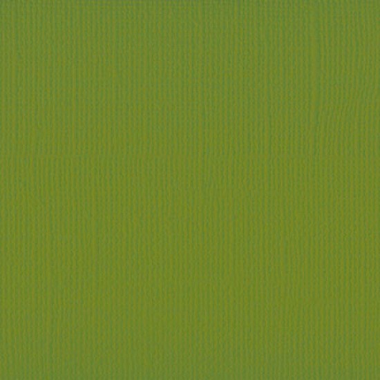 Xαρτόνι scrapbooking 30cmx30cm 216gr fern Xαρτόνι scrapbooking 30cmx30cm 216gr fern