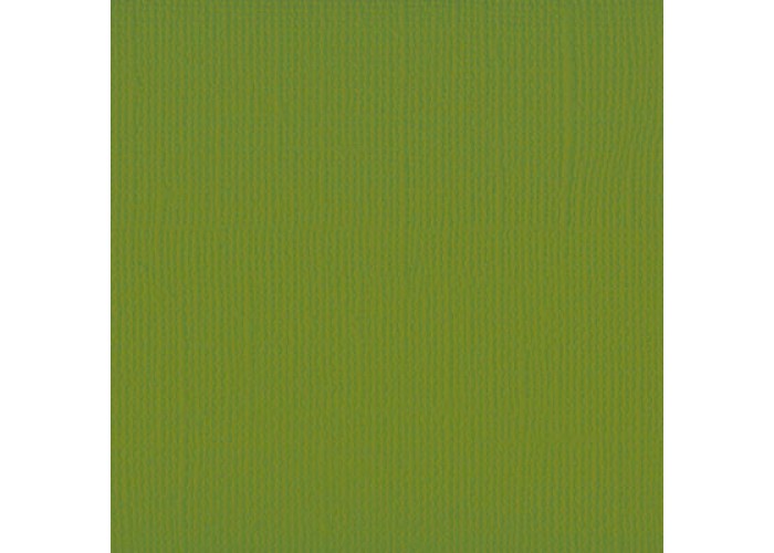 Xαρτόνι scrapbooking 30cmx30cm 216gr fern Xαρτόνι scrapbooking 30cmx30cm 216gr fern