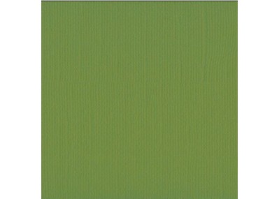 Xαρτόνι scrapbooking 30cmx30cm 216gr olive Xαρτόνι scrapbooking 30cmx30cm 216gr olive