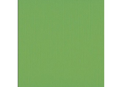 Xαρτόνι scrapbooking 30cmx30cm 216gr frog Xαρτόνι scrapbooking 30cmx30cm 216gr frog