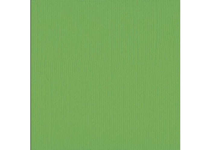 Xαρτόνι scrapbooking 30cmx30cm 216gr frog