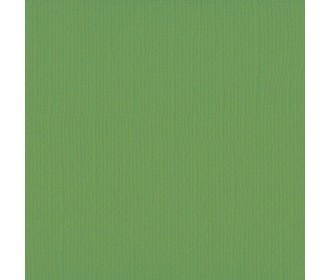 Xαρτόνι scrapbooking 30cmx30cm 216gr  moss Xαρτόνι scrapbooking 30cmx30cm 216gr  moss