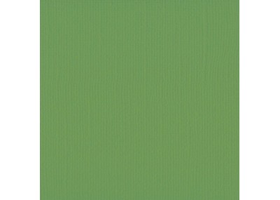 Xαρτόνι scrapbooking 30cmx30cm 216gr moss Xαρτόνι scrapbooking 30cmx30cm 216gr moss