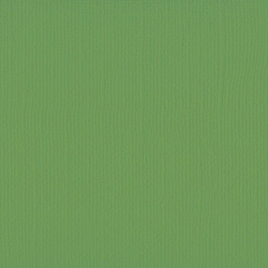 Xαρτόνι scrapbooking 30cmx30cm 216gr moss Xαρτόνι scrapbooking 30cmx30cm 216gr moss