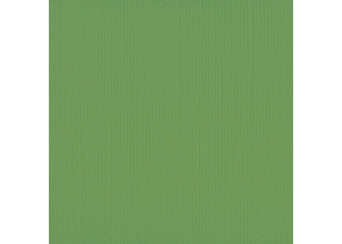 Xαρτόνι scrapbooking 30cmx30cm 216gr  moss