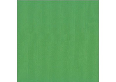 Xαρτόνι scrapbooking 30cmx30cm 216gr Holly Xαρτόνι scrapbooking 30cmx30cm 216gr Holly