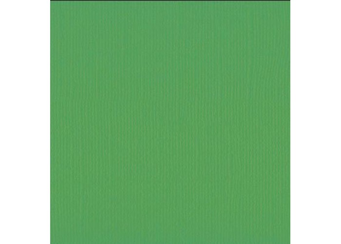 Xαρτόνι scrapbooking 30cmx30cm 216gr Holly Xαρτόνι scrapbooking 30cmx30cm 216gr Holly