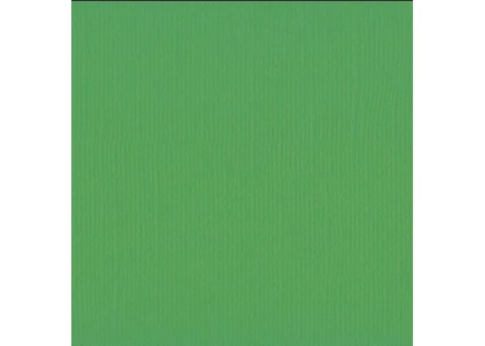 Xαρτόνι scrapbooking 30cmx30cm 216gr Holly