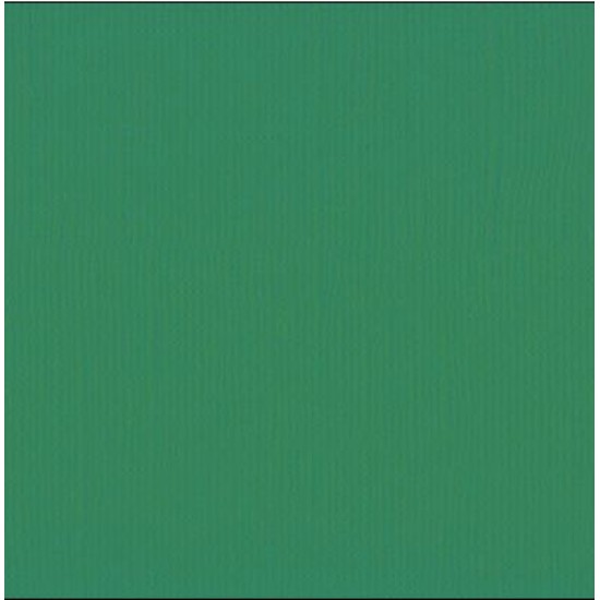 Xαρτόνι scrapbooking 30cmx30cm 216gr broccoli Xαρτόνι scrapbooking 30cmx30cm 216gr broccoli