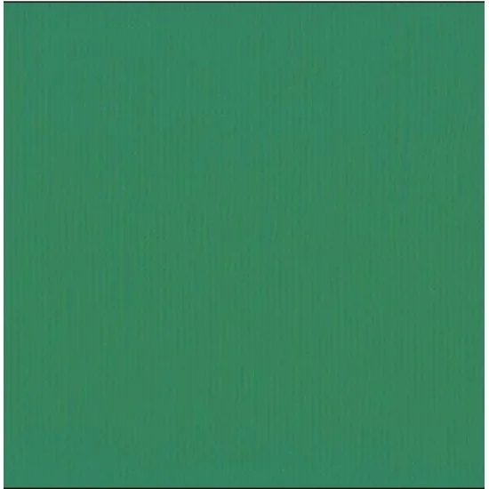 Xαρτόνι scrapbooking 30cmx30cm 216gr broccoli
