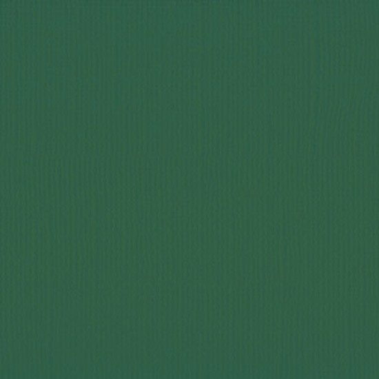 Xαρτόνι scrapbooking 30cmx30cm 216gr pine Xαρτόνι scrapbooking 30cmx30cm 216gr pine
