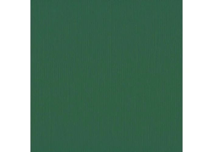 Xαρτόνι scrapbooking 30cmx30cm 216gr  pine