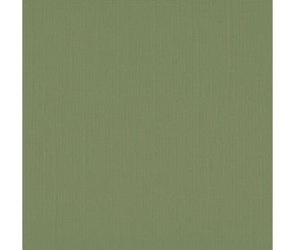 Xαρτόνι scrapbooking 30cmx30cm 216gr  acacia Xαρτόνι scrapbooking 30cmx30cm 216gr  acacia