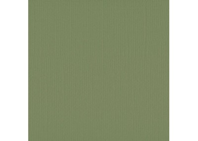 Xαρτόνι scrapbooking 30cmx30cm 216gr acacia Xαρτόνι scrapbooking 30cmx30cm 216gr acacia