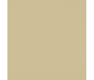 Xαρτόνι scrapbooking 30cmx30cm 216gr salamander Xαρτόνι scrapbooking 30cmx30cm 216gr salamander