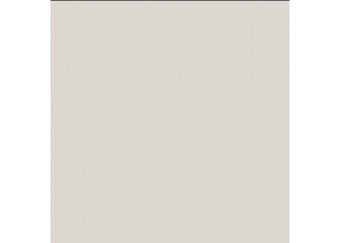 Xαρτόνι scrapbooking 30cmx30cm 216gr cool grey Xαρτόνι scrapbooking 30cmx30cm 216gr cool grey