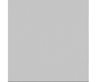 Xαρτόνι scrapbooking 30cmx30cm 216gr mouse Xαρτόνι scrapbooking 30cmx30cm 216gr mouse