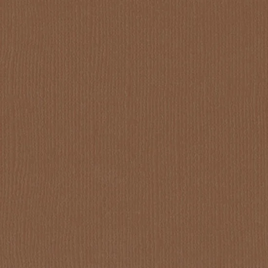 Xαρτόνι scrapbooking 30cmx30cm 216gr  lion