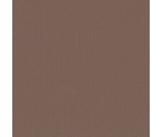 Xαρτόνι scrapbooking 30cmx30cm 216gr - bear Xαρτόνι scrapbooking 30cmx30cm 216gr - bear