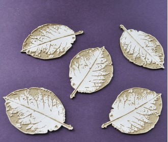 THE LOOK OF NATURE - μεγάλα / 5τεμ