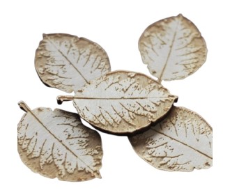 THE LOOK OF NATURE #2