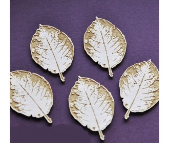 THE LOOK OF NATURE - μικρά / 5τεμ