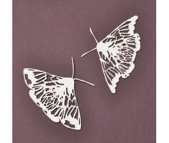 Νυχτοπεταλούδες 2τεμ Νυχτοπεταλούδες 2τεμ