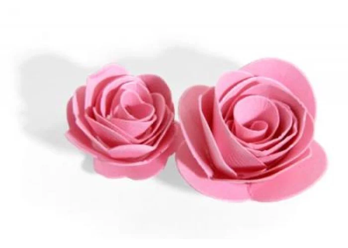 Sizzix 3D Flowers Bigz Die