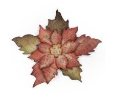 Bigz Die - Tattered Poinsettia  Bigz Die - Tattered Poinsettia