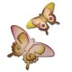 Sizzix Bigz Die - Mariposa