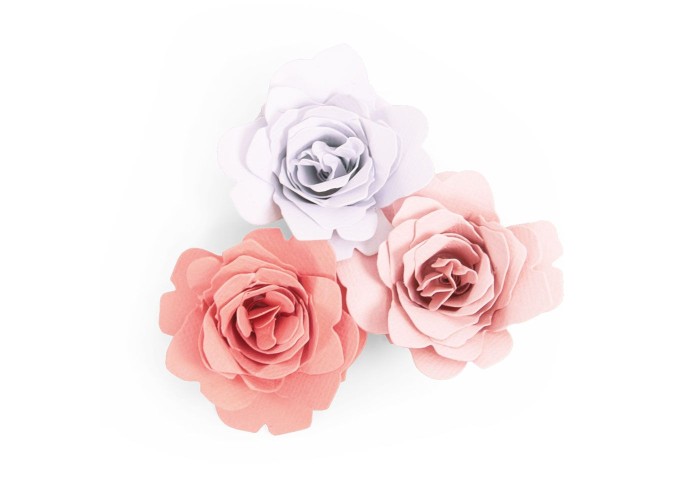 Sizzix Bigz Die – Grace Sizzix Bigz Die – Grace