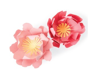 Sizzix Bigz Die Summer Blooms by Jennifer Ogborn Sizzix Bigz Die Summer Blooms by Jennifer Ogborn