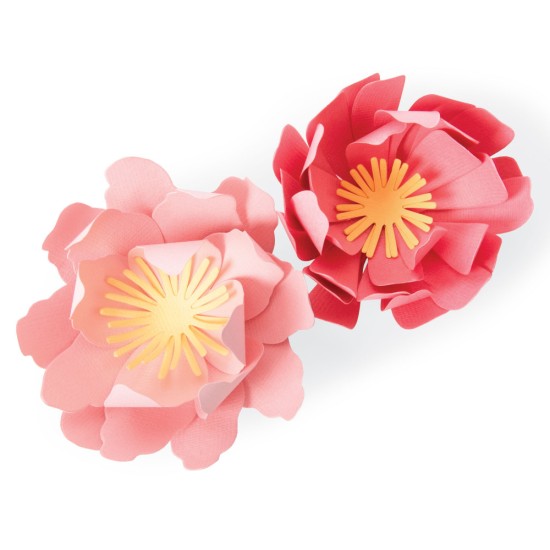 Sizzix Bigz Die Summer Blooms by Jennifer Ogborn Sizzix Bigz Die Summer Blooms by Jennifer Ogborn