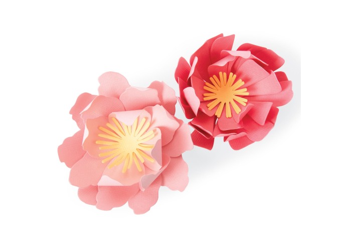 Sizzix Bigz Die Summer Blooms by Jennifer Ogborn Sizzix Bigz Die Summer Blooms by Jennifer Ogborn