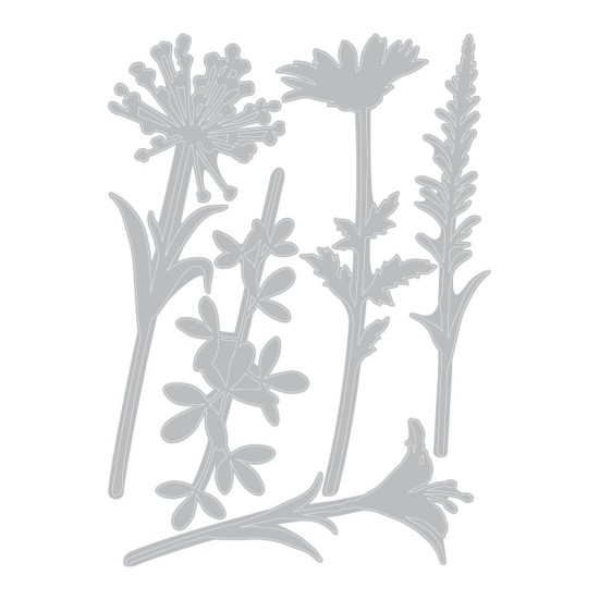 Sizzix Thinlits - Wildflower Stems #2 5τεμ Sizzix Thinlits - Wildflower Stems #2 5τεμ