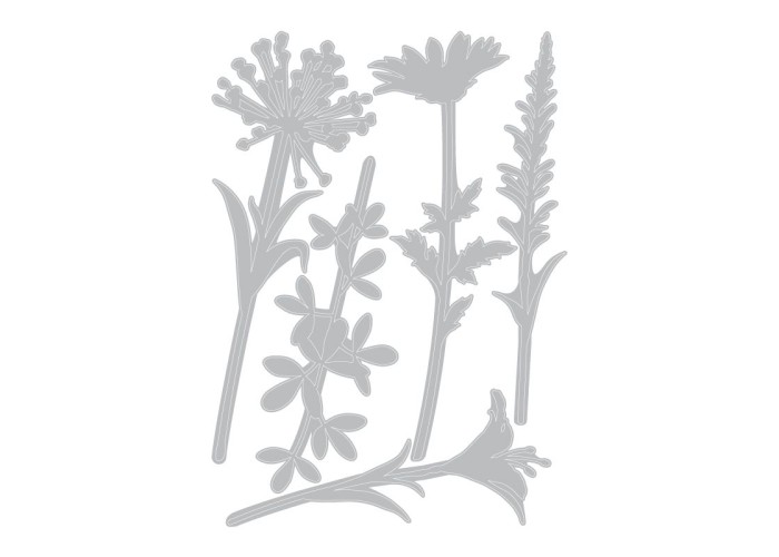 Sizzix Thinlits - Wildflower Stems #2 5τεμ Sizzix Thinlits - Wildflower Stems #2 5τεμ