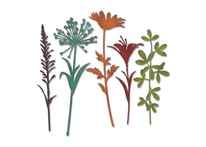 Sizzix Thinlits - Wildflower Stems #2 5τεμ Sizzix Thinlits - Wildflower Stems #2 5τεμ