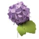 Sizzix Bigz Die – Hydrangea Sizzix Bigz Die – Hydrangea