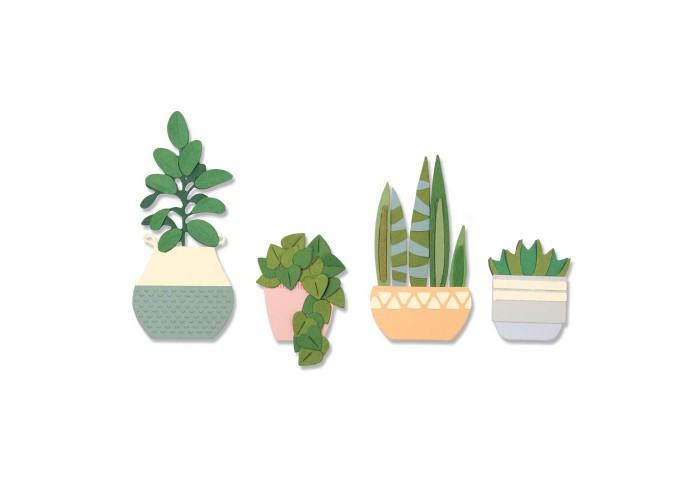 Sizzix Thinlits Die Set 16 Pack Dimensional Botanicals by Jennifer Ogborn Sizzix Thinlits Die Set 16 Pack Dimensional Botanicals by Jennifer Ogborn