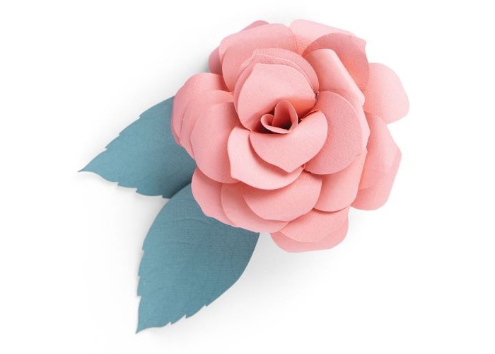 Sizzix Thinlits Die Set 2PK Courtyard Bloom by Jennifer Ogborn Sizzix Thinlits Die Set 2PK Courtyard Bloom by Jennifer Ogborn