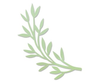 Sizzix Bigz Die Modern Foliage by Jennifer Ogborn Sizzix Bigz Die Modern Foliage by Jennifer Ogborn