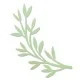 Sizzix Bigz Die Modern Foliage by Jennifer Ogborn