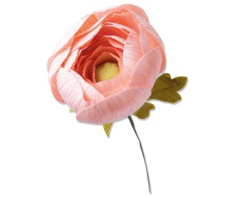 Thinlits Die Set 5PK Ranunculus by Olivia Rose Thinlits Die Set 5PK Ranunculus by Olivia Rose