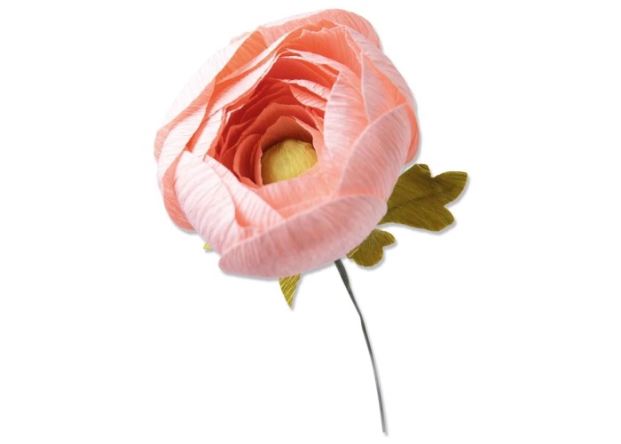 Thinlits Die Set 5PK Ranunculus by Olivia Rose Thinlits Die Set 5PK Ranunculus by Olivia Rose